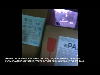 video 6000 дана 10 қорап бөдене жұмыртқалары нұр сұлтан қаласына жолға шығуға дайын тұр sex