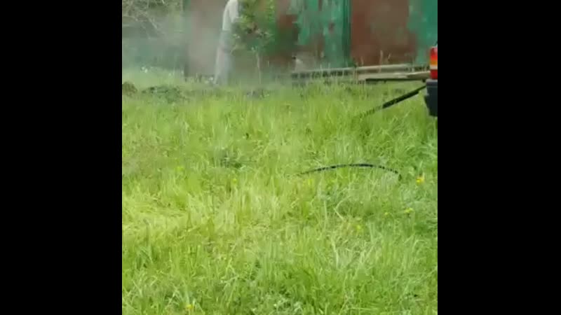 video husband vid 20321024 061821 075 mp4 sex