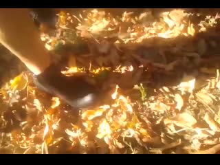 video не успели кончить спалились кутузовский парк г сочи отрывок личная коллекция юлии вайс sex