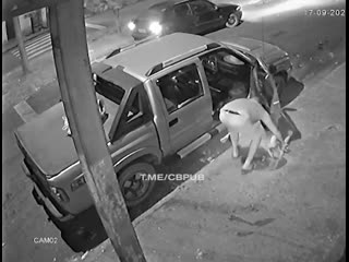 video в бразилии муж зарезал свою жену прохожий не смог помочь женщине sex