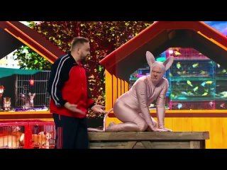 video египетская кошка 12 ульев уральские пельмени sex