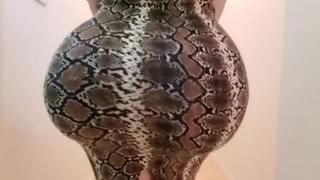 video секс сосед давно уже мечтал трахнут эту жопасту соседку и в один день жестко выебал ее sex