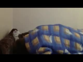 video подсматривает за неудачной еблей пьяных студентов в общаге русское не порно русское порно слив sex