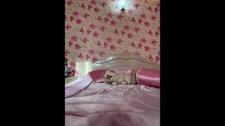 video brenda kiska 5 sex