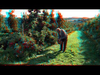 video moving holograms anaglyph stereoscopic 3d demo july 2009 hd качество 720p анаглиф sex