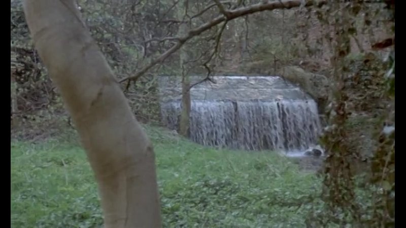 video адриана асти в фильме призрак свободы драмакомедияфранция1974 sex