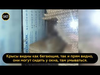 video территория московского элитного жк премиум класса сохо нохо sex
