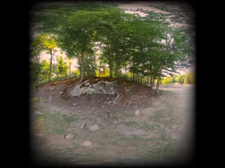 video beautiful forest wildlife in vr180 deer elk relaxing 3d virtual reality experience sex