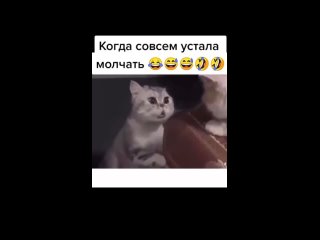 video какая разговорчивая кошечка попалась выговорилась всё что накопилось в душе высказала sex