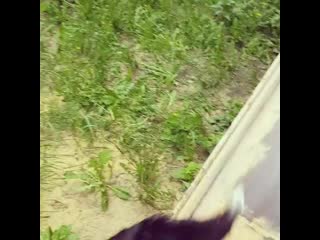 video com vid 110251025 030948 790 mp4 sex