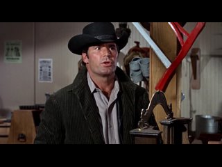 video поддержите своего шерифа support your local sheriff 1969 джеймс гарнер джоан хакетт уолтер бреннан гарри морган sex