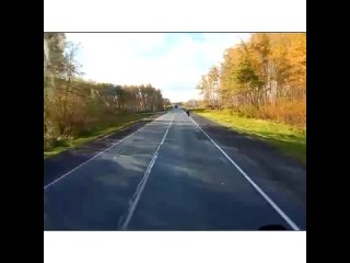 video трагическая гибель молодые на трассе тюмень омск кадры последних минут sex