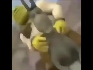 video шрек летит на козле и там кароче экшен пиздец полный разьеб онлайн sex