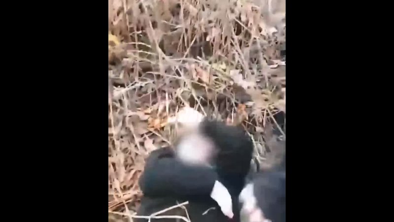 video на курщине молодые недоблогер избивает сверстников ради лайков кадры истязаний он публикует в сети sex