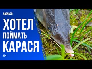 video хотел поймать карася но попалась стерлядь 12 sex