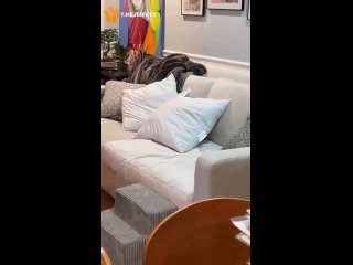 video видео от подушки одеяла постельное бель pro отель sex