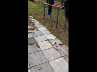 video rap vid 20201101 075737 mp4 sex