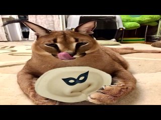video большой шлёпа рекламирует пельмени gachi remix sex