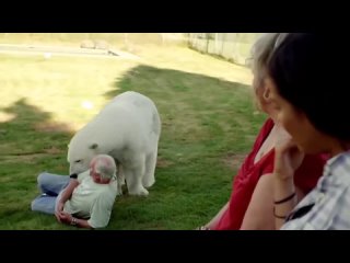 video теперь вы знаете шимпанзе убийца домашний любимчик который молодыесвою хозяйку sex