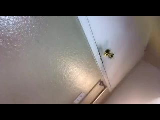video порно мемы небольшая неудача sex