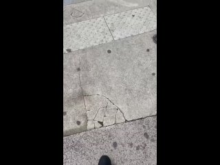 video во франции чеченцы жестоко наказали нигера за приставание к чеченской девушки sex