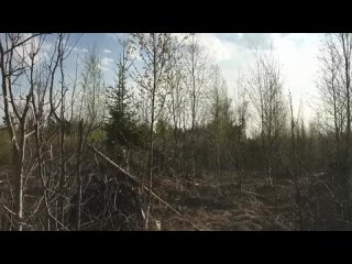 video в любой момент могли спалить но она продолжала sex