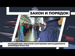 video полицейские пресекли нарушения миграционного законодательства 06 07 23 sex
