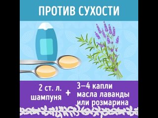 video 8 способов сделать шампунь как часто ты моешь голову sex
