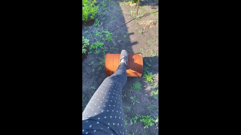 video сажаем огурцы в старую бочку sex