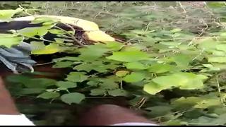 video desi gang rap sex