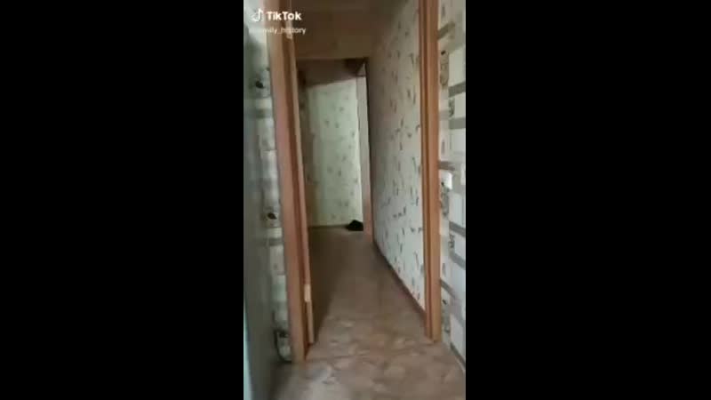 video https com video ext php oid 172668209id456245589hashd0eed21d3549497c ref androidapi sex