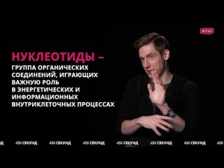 video rtvi развлечения как появилась жизнь на земле узнай за 900 секунд sex