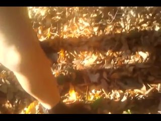 video не успели кончить спалились кутузовский парк г сочиотрывок личная коллекция юлии вайс sex