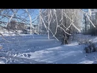 video зимняя сказка в парке северное тушино зима москва красотаприроды sex