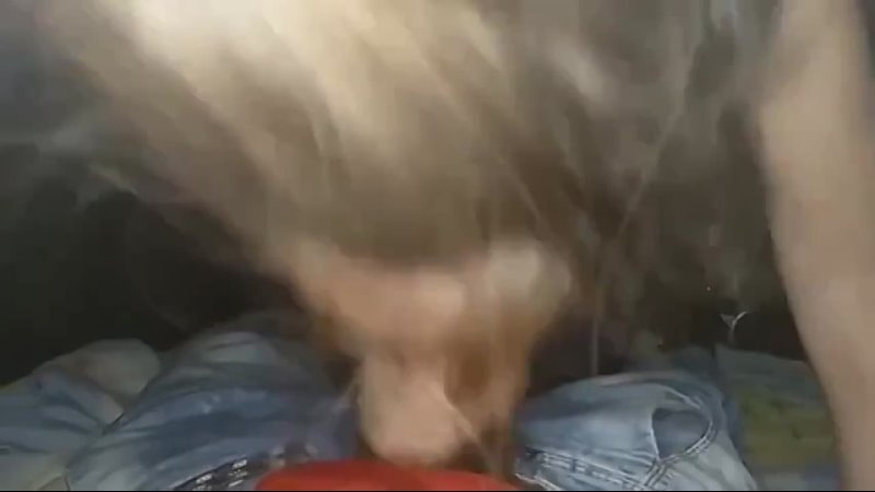 video наташка очень старательно сосет чтобы заработать на айфон порно ебля инцест минет трахсексизмена sex