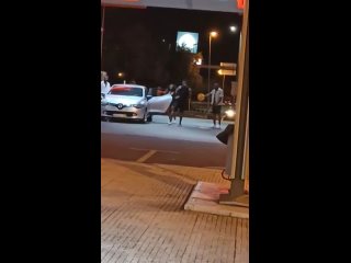 video lisbon a nigger urinates publicly at the galp do eixo norte sul gas station sex