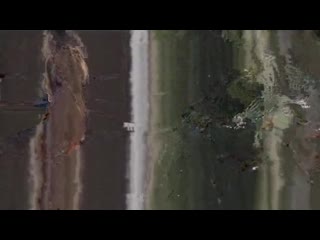 video и волки сыты красивый секс домашнее порно частная эротика вечная память sex