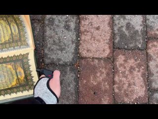 video мужчина сжигает коран возле мечети в районе мортенсруд в осло sex