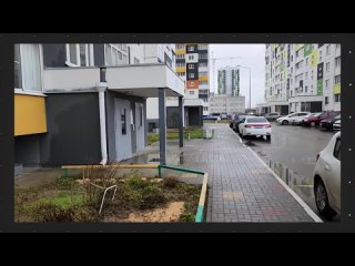 video таксист герой не растерялся и не испугался бойцовского пса mp4 sex