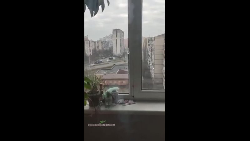 video по предварительным данным так развлекаются чеченцы sex