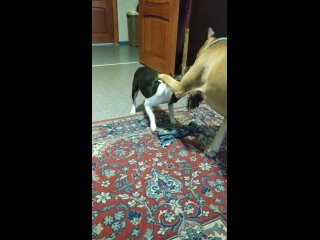 video center vid 20220206 092921 mp4 sex