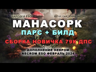 video чародей в мана билде для новичков некром 210 ог 79к дпс посохи eso necrom sorcerer mana sex