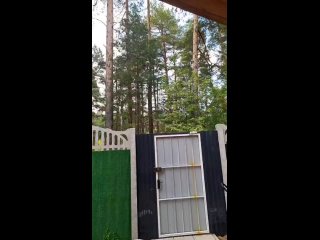 video видео от примавера баня с бассейном верхняя курья пермь sex