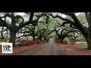 video oksana alabama usa любовные письма продавцу не в деньгах счастьях по американски sex