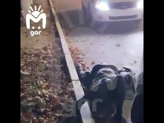 video женщина из дербента разгромила пивнуху и получила шваброй по спине sex
