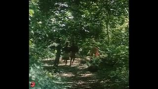 video тарзан x позор джейн tarzan x shame of jane 1995 порно фильм sex