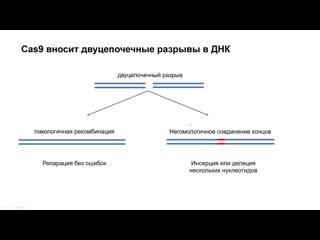 video gi5 как решать задачи на crisprcas9 механизм и pam sex