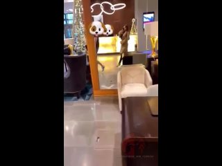 video меня привязали в общественном гостиничном туалете к злой женщине бдсм и фемдом sex