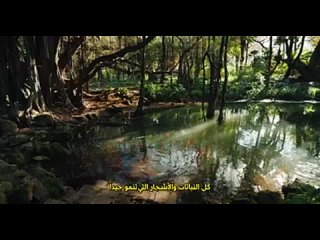 video алжир самая большая страна в африке sex