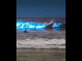 video в сан диего есть пляж где вода и песок в определённые дни излучают яркое синее свечение ролик с ним набрал sex